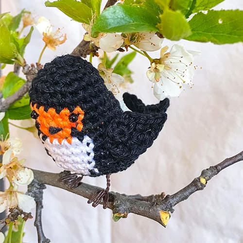 Crochet Black Bird PDF Amigurumi Free Pattern