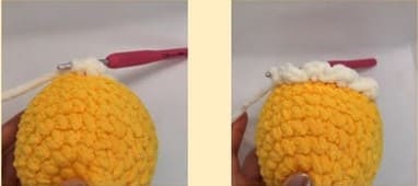 chicken- head and body-4
