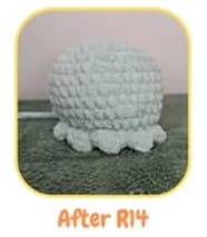 jellyfish - 1