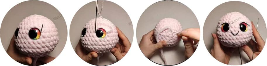 jellyfish - head