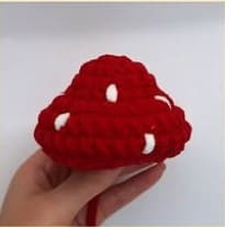 mushroom cap 2
