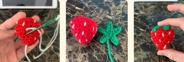 strawberry-assembly