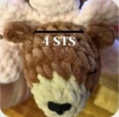 bear- ears