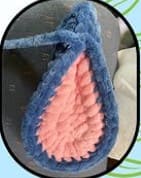 inner-outer-ear