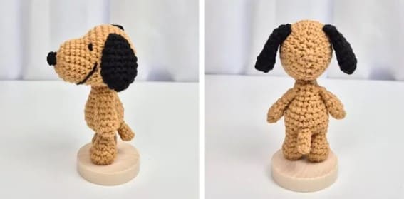 reference-left-side-and-back