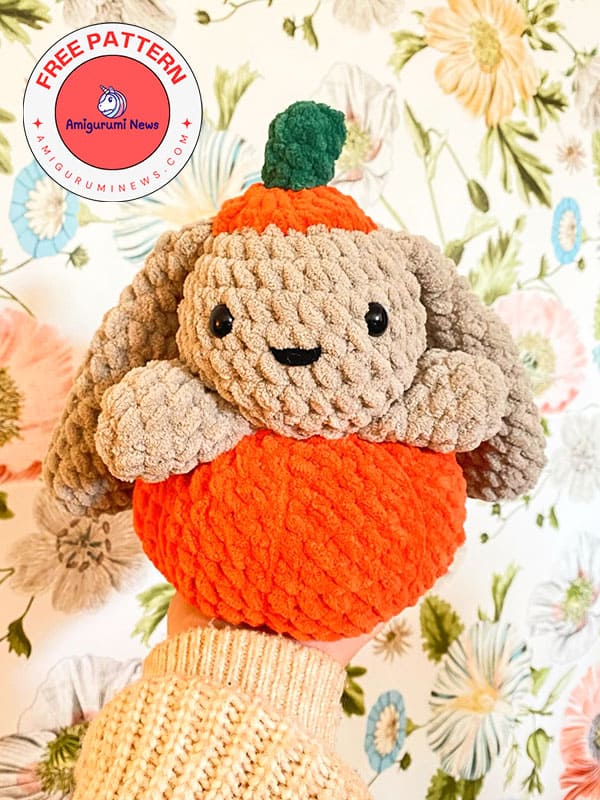 Crochet pumpkin pal bunny (2)