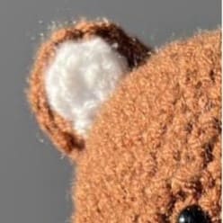 bear-ears