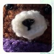 bear-nose