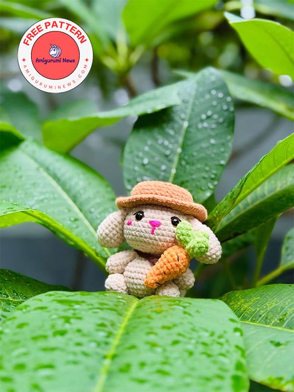Farmer crochet bunny stella free amigurumi pattern (3)