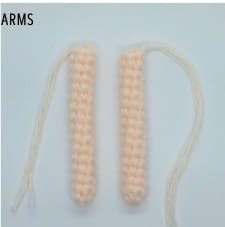 arms