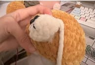 dog-nose