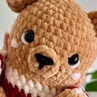 teddy-bear-nose