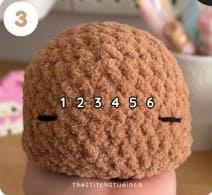 crochet-capybara- eyes